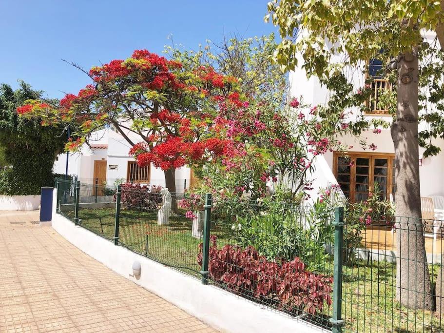 Apartamento Lucia Garden City Con Piscina Climatizada Playa Feñabe المظهر الخارجي الصورة