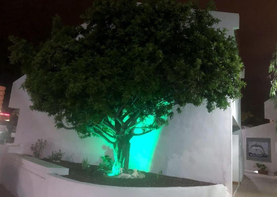 Apartamento Lucia Garden City Con Piscina Climatizada Playa Feñabe المظهر الخارجي الصورة