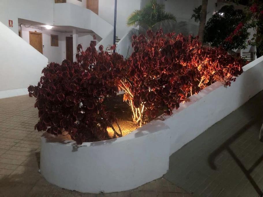 Apartamento Lucia Garden City Con Piscina Climatizada Playa Feñabe المظهر الخارجي الصورة