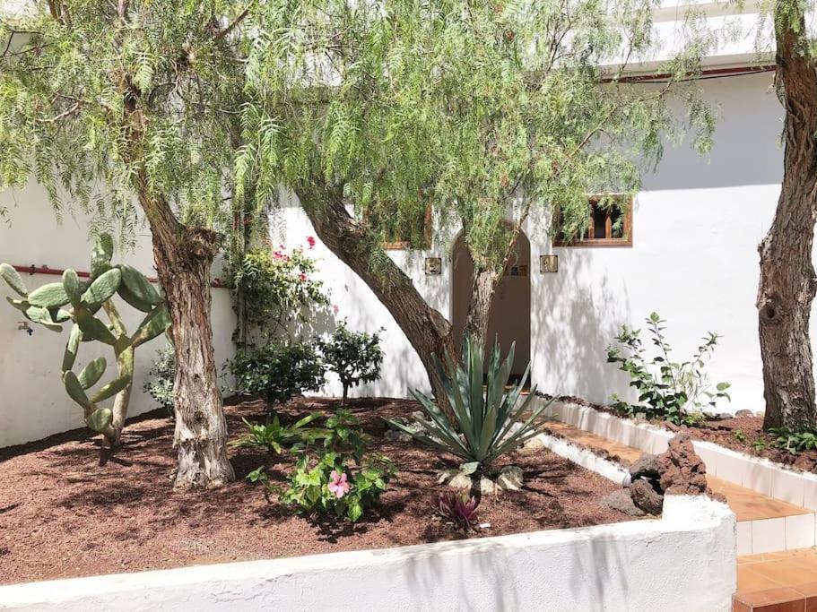 Apartamento Lucia Garden City Con Piscina Climatizada Playa Feñabe المظهر الخارجي الصورة