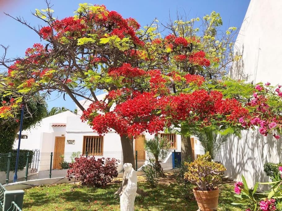Apartamento Lucia Garden City Con Piscina Climatizada Playa Feñabe المظهر الخارجي الصورة
