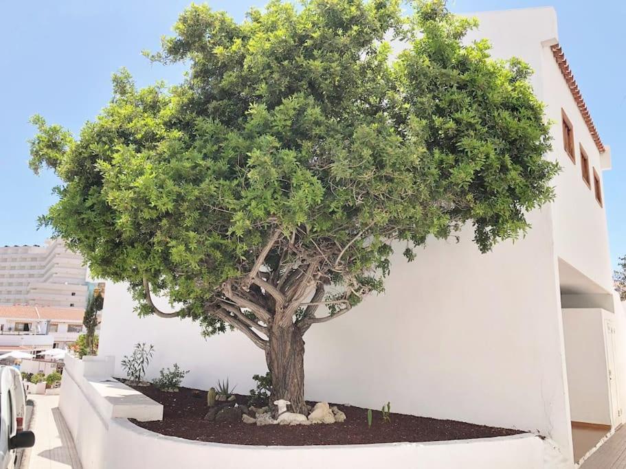 Apartamento Lucia Garden City Con Piscina Climatizada Playa Feñabe المظهر الخارجي الصورة